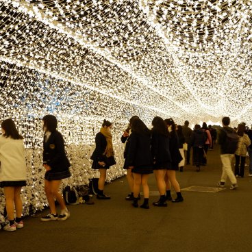 Tokyo Mega Illumination (Shinagawa), installation qui représente la floraison des sakura 2