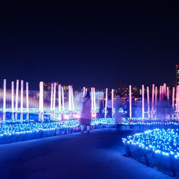 Tokyo Mega Illumination (Shinagawa), petite forêt de bambous