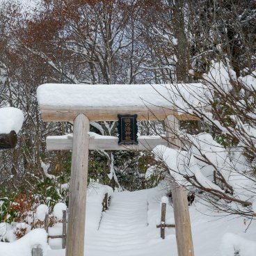 Tsuru-no-yu Onsen (Akita), Torii enneigé du sanctuaire Tsuru-no-yu-jinja
