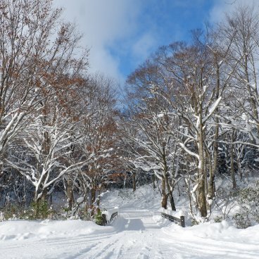 Tsuru-no-yu Onsen (Akita), accès à la station thermale en hiver