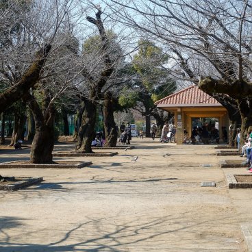 Parc Hanegi (Setagaya, Tokyo), allée du parc à la fin de l'hiver