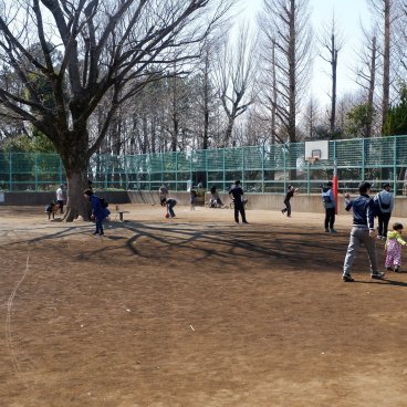 Parc Hanegi (Setagaya, Tokyo), terrains de loisirs et de sports le week-end