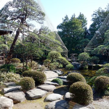 Shibamata (Katsushika, Tokyo), jardin japonais de la maison de thé Yamamoto-tei en hiver