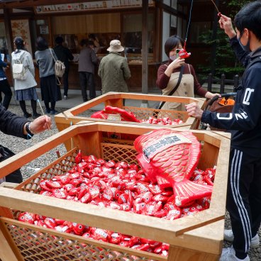 Kawagoe Hikawa-jinja, papiers Omikuji disposés dans des dorades rouges à pêcher