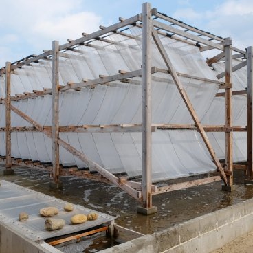 Teshima (Shikoku), fabrique de sel sur l'île