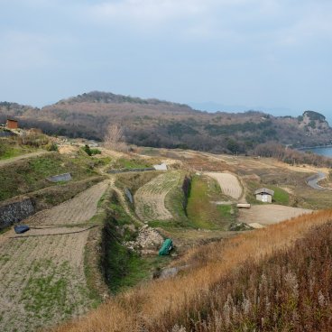Teshima (Shikoku), vue sur les rizières en terrasses en hiver depuis le Musée d'art de Teshima