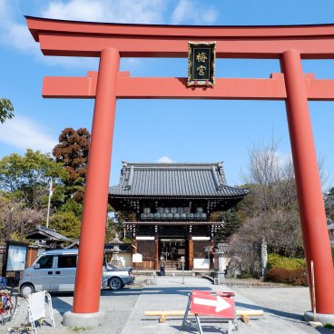 Umenomiya Taisha (Kyoto), grande porte Torii vermillon à l'entrée du sanctuaire