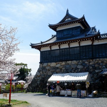Château de Koriyama (Nara), tourelle Yagura pendant la floraison des sakura