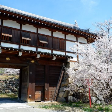 Château de Koriyama (Nara), porte Otemon pendant la floraison des sakura