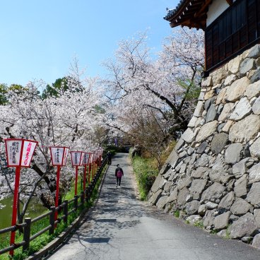 Château de Koriyama (Nara), parc pendant Yamatokoriyama Oshiro Matsuri 2