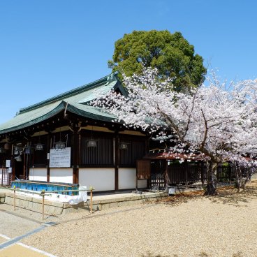 Château de Koriyama (Nara), sanctuaire Yanagisawa-jinja avec exposition de poissons rouges Kingyo