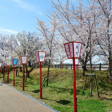 Château de Koriyama (Nara), parc pendant Yamatokoriyama Oshiro Matsuri