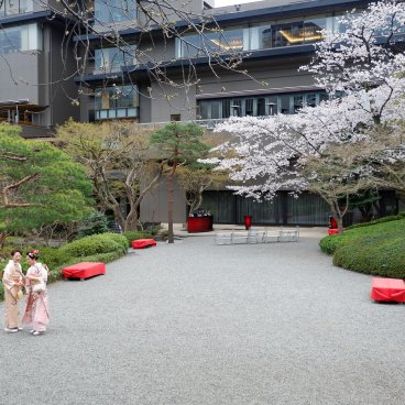 Shirokanedai (Tokyo), floraison des sakura au début du printemps devant le hall de réception principal du jardin Happo-en