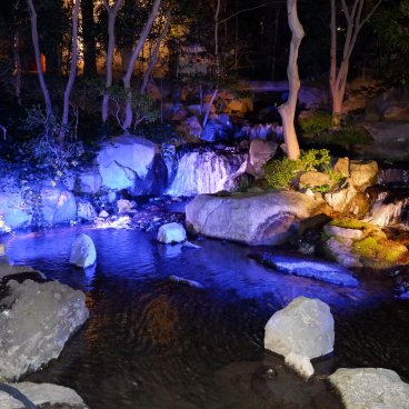 Happo-en (Tokyo), illuminations nocturnes du jardin en bleu