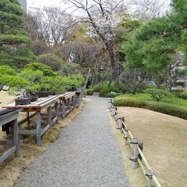 Happo-en (Tokyo), allée de bonsaï centenaires au sein du jardin japonais