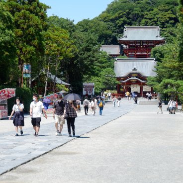 Tsurugaoka Hachiman-gu (Kamakura), allée intérieure principale du sanctuaireTsurugaoka Hachiman-gu (Kamakura), allée intérieure principale du sanctuaire