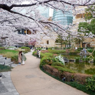 Roppongi Hills (Tokyo), vue sur le complexe depuis le jardin Mohri en période de sakura 