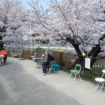 Shingashi-gawa (Kawagoe), chemin au bord de la rivière avec installations en plein air