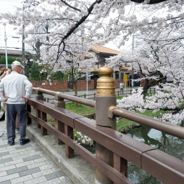 Shingashi-gawa (Kawagoe), pont Hikawa-bashi au-dessus de la rivière au début du printemps