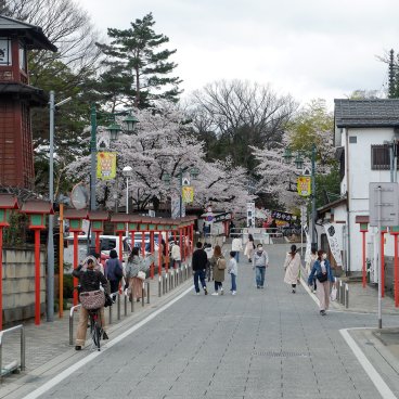 Kita-in (Kawagoe), rue de la ville au printemps en direction de l'entrée du temple