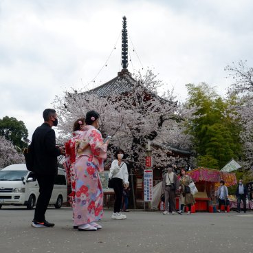 Kita-in (Kawagoe), visiteurs pendant le festival printanier dans l'enceinte du temple