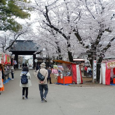 Kawagoe (Saitama), stands pendant le Sakura Matsuri du temple Kita-in