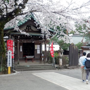 Kita-in (Kawagoe), pavillon dédié à Daikokuten et cerisiers en fleurs