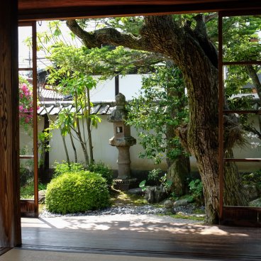 Musée Mémorial Lafcadio Hearn (Matsue), vue sur le jardin japonais au printemps depuis la résidence de samourai 2