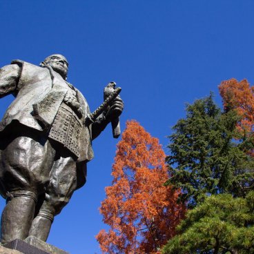 Parc du château de Sunpu, statue de Tokugawa Ieyasu avec un faucon 2