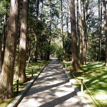 Toshodai-ji (Nara), allée arborée vers la partie arrière et calme du temple