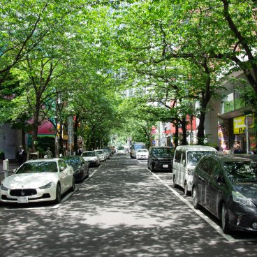 Yaesu (Tokyo), avenue Sakura-dori sous les cerisiers en feuilles au début de l'été