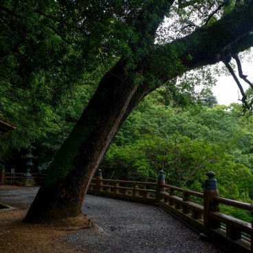 Kotohira-gu (Shikoku), Début du chemin vers le sanctuaire Oku no sha