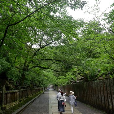 Kotohira-gu (Shikoku), Allée Sakura-baba bordée de lanternes 2
