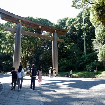 Meiji-jingu, Grand Torii 4
