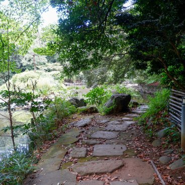 Todai (Tokyo), le long du plan d'eau Sanshiro en été
