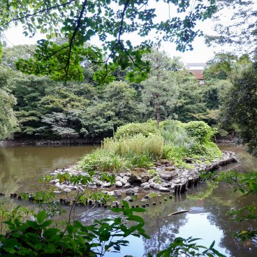Todai (Tokyo), plan d'eau Sanshiro en été