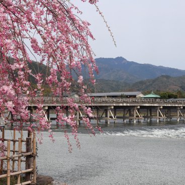 Togetsukyo (Kyoto), vue sur le pont en période de sakura début avril 3