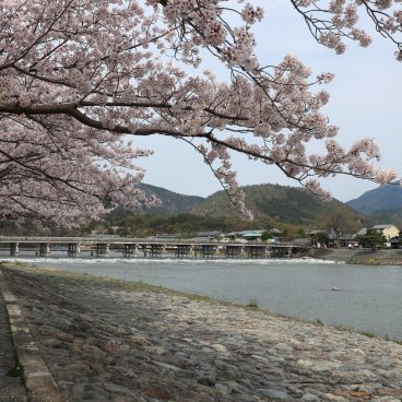 Togetsukyo (Kyoto), vue sur le pont en période de sakura début avril 2