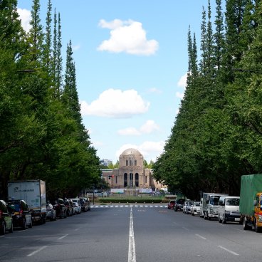 Icho Namiki (Tokyo), avenue avec ginkgo biloba verts en été