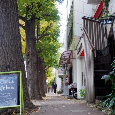Shirokanedai (Tokyo), avenue Gaien Nishi-dori et ses boutiques