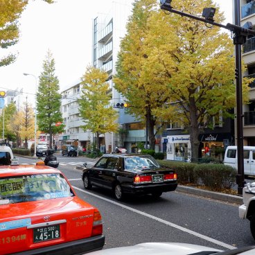 Shirokanedai (Tokyo), avenue Gaien Nishi-dori bordée de ginkgos dorés à l'automne
