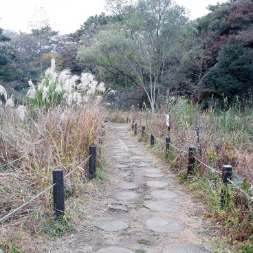 Shirokanedai (Tokyo), institut pour l'étude de la nature à l'automne