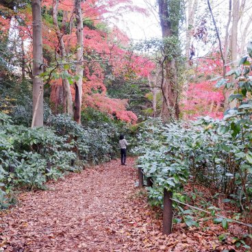 Shirokanedai (Tokyo), institut pour l'étude de la nature à l'automne 3