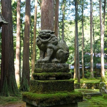 Hiyo Koke no Sato (Ishikawa), statue Komainu du sanctuaire Hiyo-jinja