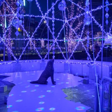 Parc Miyashita (Tokyo), reproduction du chien Hachiko sous les illuminations de Noël