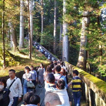 Tosho-gu (Nikko), file d'attente des visiteurs un jour férié au Japon (nov. 2023)