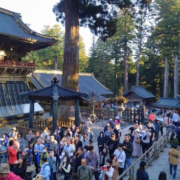Tosho-gu (Nikko), foule touristique dans l'enceinte du mausolée (nov. 2023) 4