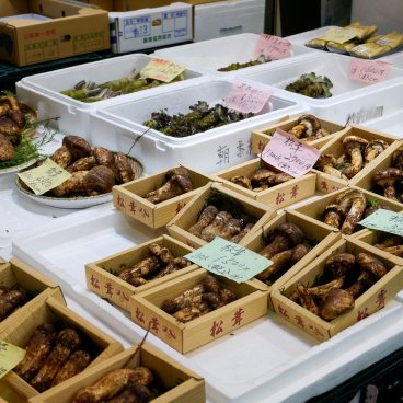 Marché extérieur de Tsukiji (Tokyo), étal de champignons et racines wasabi à Tsukiji Uogashi