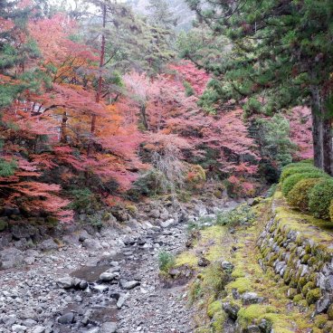 Kuon-ji (Minobu), vallée forestière Nishi-dani à l'automne