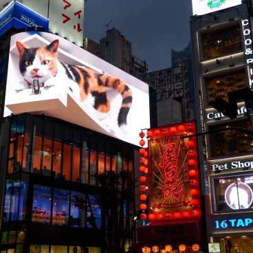 Chat 3D géant de Shinjuku qui parle au micro à la tombée de la nuit